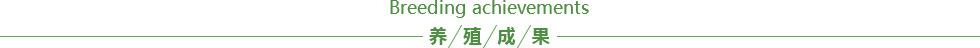 bitpie下载
