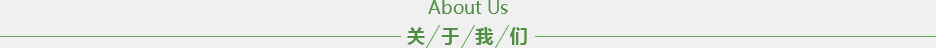 比特派网址